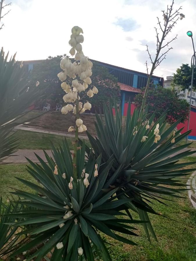 Apartamento Mobiliado 10 Minutos Da Praia Do Forte Cabo Frio Exterior foto